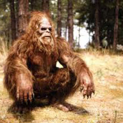 BIGFOOT  pd by  Drade