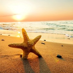 Sunset Flight - Yuriko Nakamura