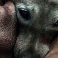 What's it like to be alive?