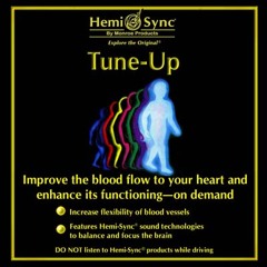Tune-Up HP048