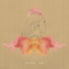 Angel - David Philips