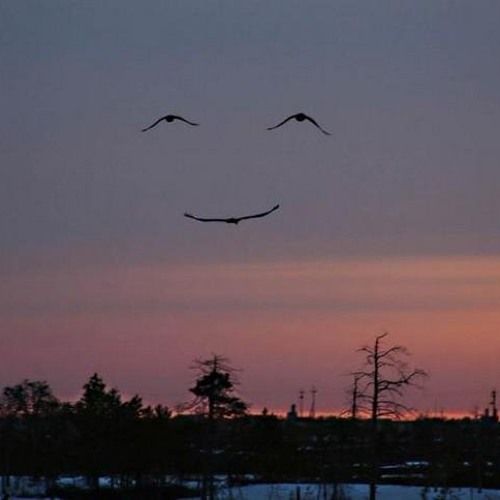 اضحك  :)