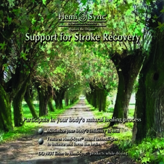 Support For Stroke Recovery SSR005