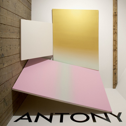 ANTONY'S AFFAIR