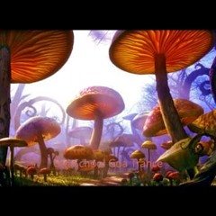 SkinneX-Gonzi Mix
