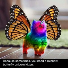 Hypnodrones- Rainbow butterfly unicorn kitten