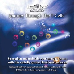 Journey Through The T-Cells MF044