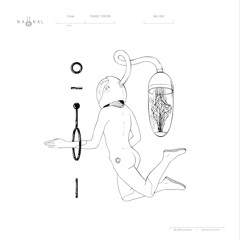 NAU004 B Transit Station (Petre Inspirescu remix)