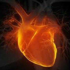 Hackai Ft. Filterpan - HeartBass (nneka Heartbeat Remix)