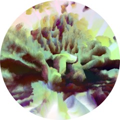 Hodge "X" - Boiler Room Debuts