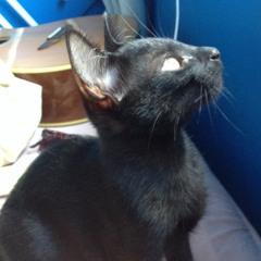 Como um Anjo - Zezé de Camargo e Luciano