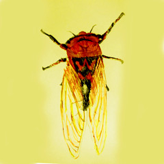 2. Broadwing- Cocktail Of Violence (Unbroken Expanse Cover)