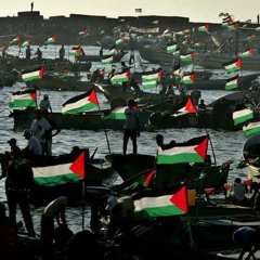 يافا هي امي