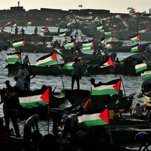 يافا هي امي