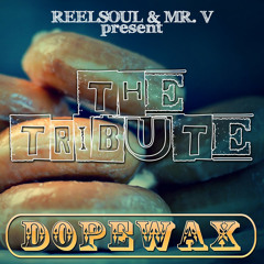 The Tribute (Main Mix)- Reelsoul & Mr. V