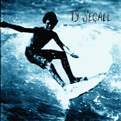 Ty Segall - "No No"