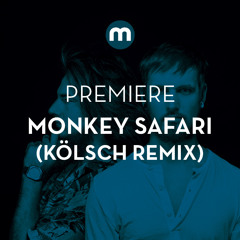 Premiere: Monkey Safari 'Cranes' (Kölsch remix)