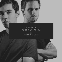 Guru Mix 010: Tom & Jame