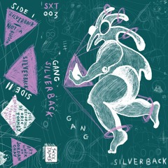 Silverback (Recorded by Theo Verney)