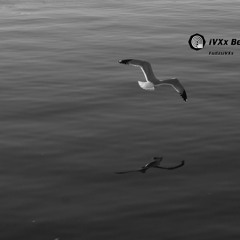 Love Is Blue Hiphop Remake