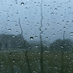 Rythm of the Rain