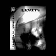 4. Levity- Stasis