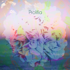 Color By The Second (Prolifia Pt. 3)