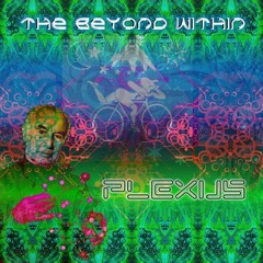 03.The Night Discover - PLEXUS - EP The Beyond Within