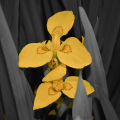 The crazy Beats of Africa