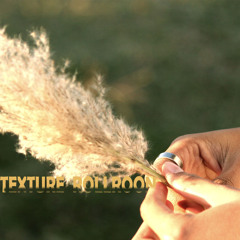 พฤจิ - Texture Rollroon