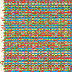 Michael Mykola Haleta - ASB SEM #2b