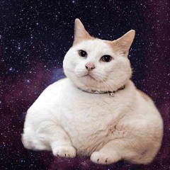 Goa und Psy Trance-2