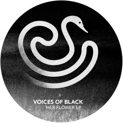Voices of Black - Dry Ur Eyez feat. Greg Paulus