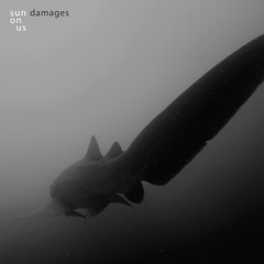 Damages - Sun On Us