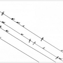 Cagdas Cengiz - Gunlerimiz (Zülfü Livaneli)