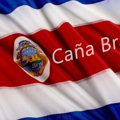 Y-an - Caña Brava (Original Mix)