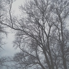 Something's Coming This Way