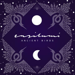 Ensilumi - Ancient Birds (Original Mix)
