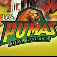 Los Pumas Del Norte - EL Trenecito