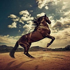 موسيقى رق الحبيب - عزف منفرد على العود - القصبجي