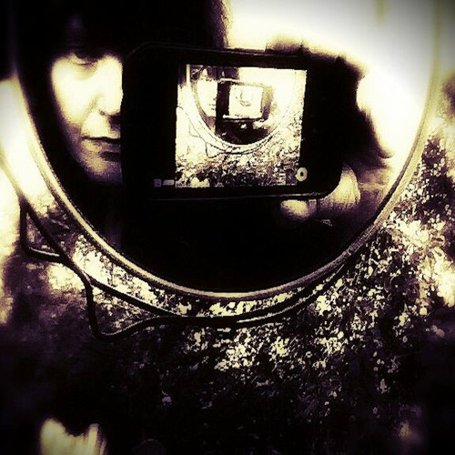 The Spider Ferns - Fortune