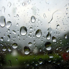 Rainy indoor theme