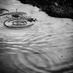 Puddle(FREE DOWNLOAD)
