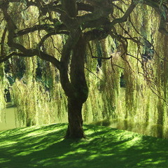 Mnemosyne  -  The Personification of Memory