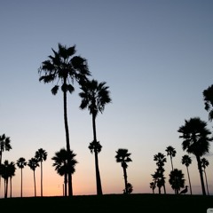 Hawaii (FCGD) mix 27.5.14