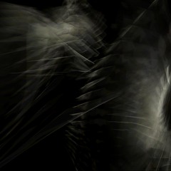 morphogenesis (2004)