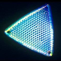 Magnify
