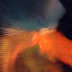 skin | haut | peau (2000/2009)