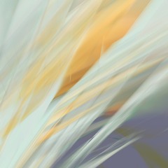 resounding nonsites (2014)