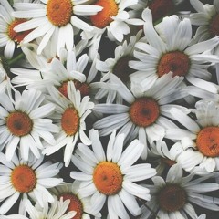 Jantung Hatiku - Netty Vera